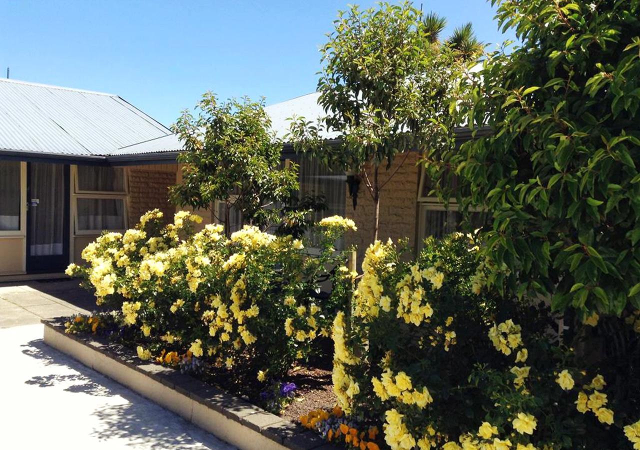 Hagley Park Motel Christchurch Exterior photo